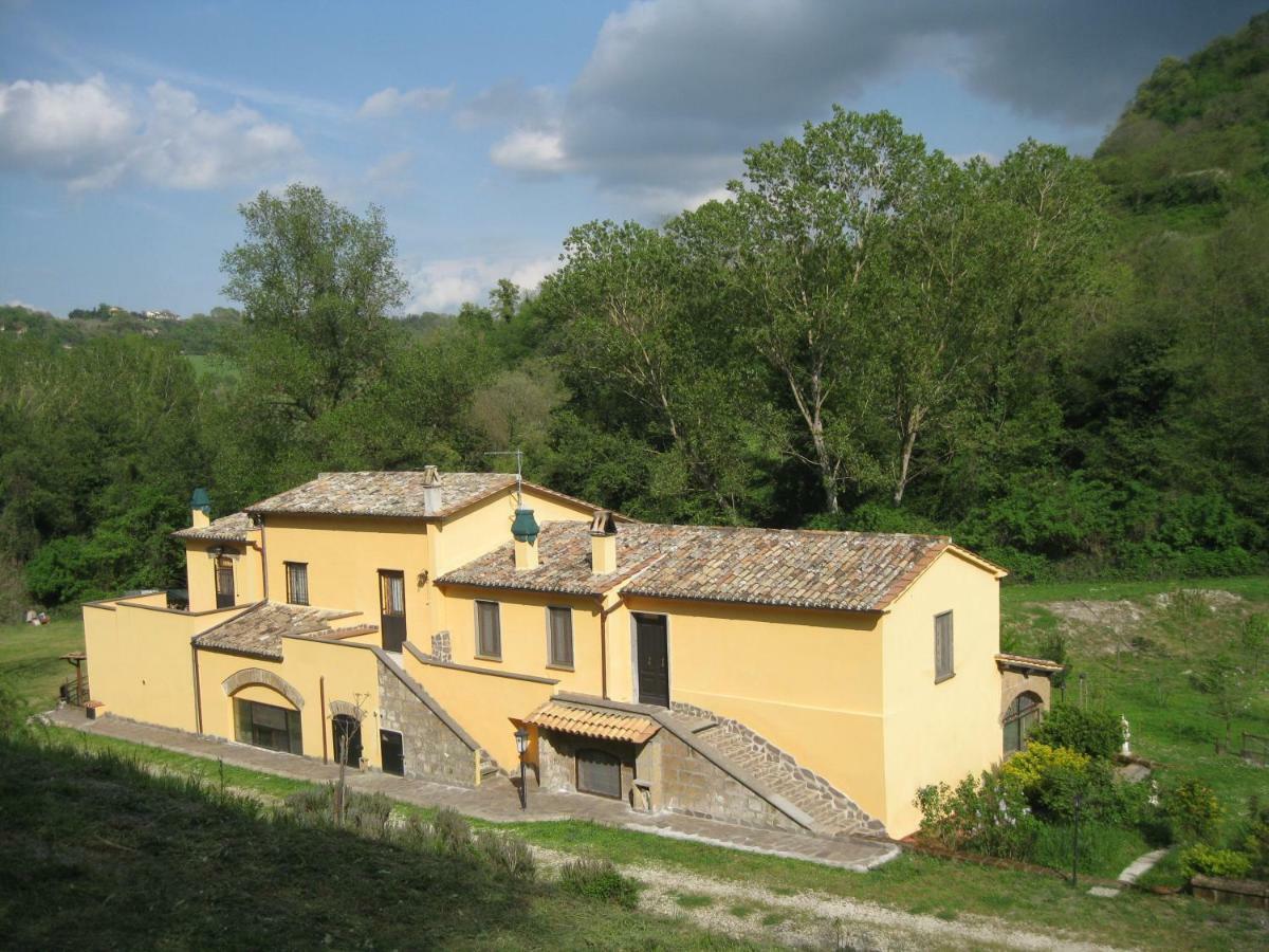 Alloggio Turistico Mooneyes Apartment Castiglione In Teverina ภายนอก รูปภาพ