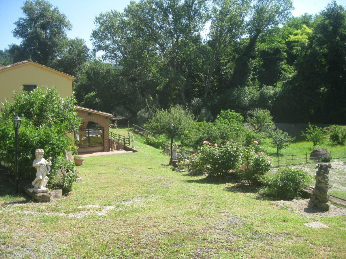 Alloggio Turistico Mooneyes Apartment Castiglione In Teverina ภายนอก รูปภาพ